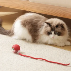Smart Dog and Cat Toy Ball – Interactive Rolling Ball